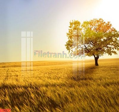 File PSD File gốc in tranh nền tường tổng hợp KD3797 (nguyên gốc) chất lượng cao