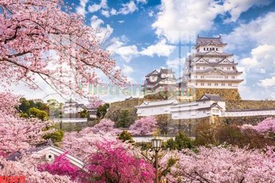 File in mica File gốc in tranh nền tường tổng hợp KD3812 (ảnh gốc) đẹp