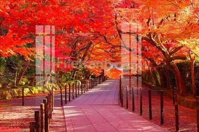 File tranh gốc PSD File gốc in tranh nền tường tổng hợp KD3849 còn nguyên layer