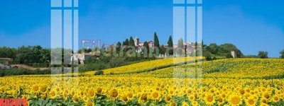 Tải file File gốc in tranh nền tường tổng hợp KD3870 (ảnh gốc) độ phân giải 300dpi