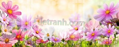 File in trần File gốc in tranh nền tường tổng hợp KD3889 (bản gốc) trời sao