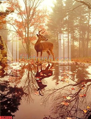 File gốc File gốc in tranh nền tường tổng hợp KD3894 (in lụa) trang trí tường