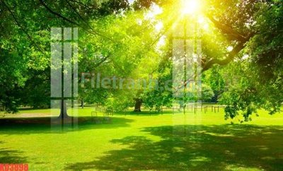 File tranh File gốc in tranh nền tường tổng hợp KD3898 (bản gốc) treo phòng ăn