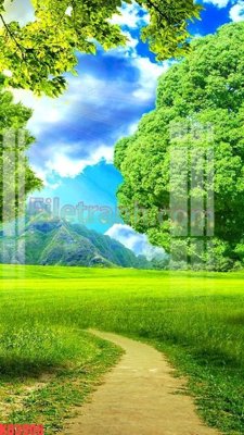 File tranh File gốc in tranh nền tường tổng hợp KD3906 (file gốc) chủ đề phong thủy