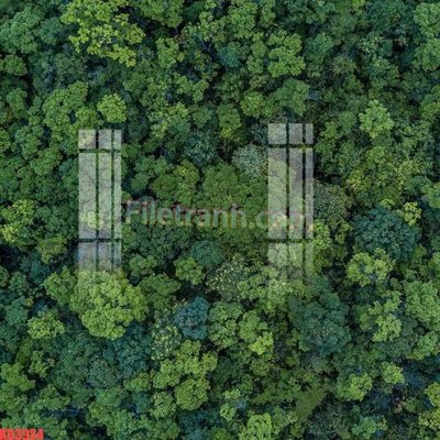 File tranh File gốc in tranh nền tường tổng hợp KD3934 (ảnh gốc) chi tiết rõ ràng