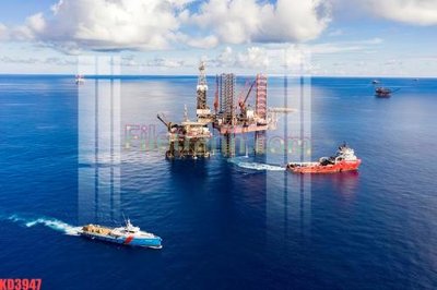 Tải file File gốc in tranh nền tường tổng hợp KD3947 (gốc) chủ đề hoa sen