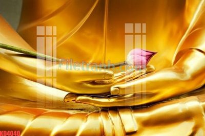 File in trần File gốc in tranh nền tường tổng hợp KD4040 (file gốc) phong thủy