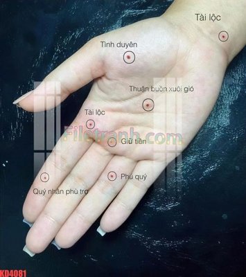 File gốc in ấn File gốc in tranh nền tường tổng hợp KD4081 chuẩn màu CMYK