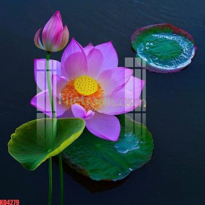 File ảnh gốc File gốc in tranh nền tường tổng hợp KD4279 (chuyên in mica)