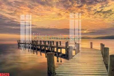 File in trần File gốc in tranh nền tường tổng hợp KD429 (bản gốc) trời sao