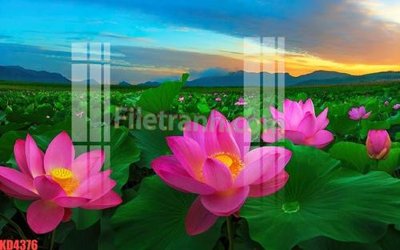 File ảnh File gốc in tranh nền tường tổng hợp KD4376 (gốc) trang trí khách sạn