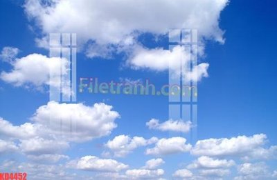 File in lụa File gốc in tranh nền tường tổng hợp KD4452 (chất lượng cao) File gốc in tranh nền tường tổng hợp KD4452