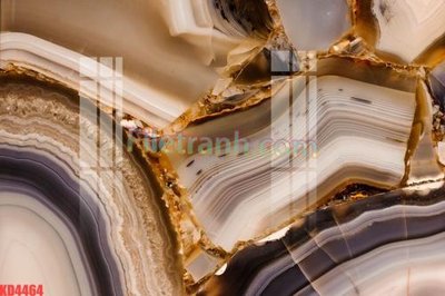 File gốc File gốc in tranh nền tường tổng hợp KD4464 (in lụa) tranh phong thủy