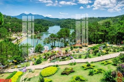 Tải file File gốc in tranh nền tường tổng hợp KD4475 (ảnh gốc) in tráng gương