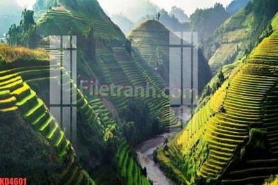 File in trần File gốc in tranh nền tường tổng hợp KD4601 (file gốc) xuyên sáng