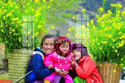 File gốc File gốc in tranh nền tường tổng hợp KD4602 (bản quyền) cho in ấn