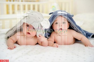 Mua file gốc File gốc in tranh nền tường tổng hợp KD4788 (chất lượng) tại Filetranh.com