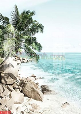 Tải file File gốc in tranh nền tường tổng hợp KD4972 (gốc) làm file in ấn