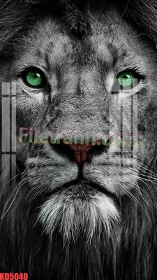 File gốc File gốc in tranh nền tường tổng hợp KD5040 (ảnh chi tiết) để in ấn