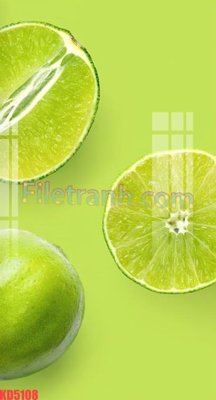 Chi tiết file gốc File gốc in tranh nền tường tổng hợp KD5108 (cho in tráng gương)