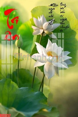 File tranh File gốc in tranh nền tường tổng hợp KD5157 (bản gốc) in lụa 5D