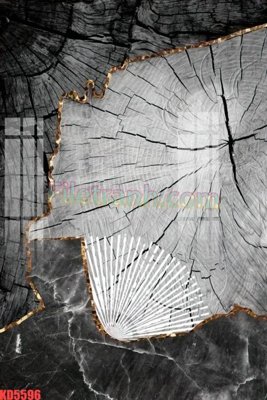 File in mica File gốc in tranh nền tường tổng hợp KD5596 (bản gốc) làm vách ngăn