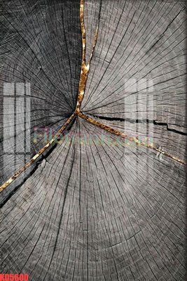 Tải file File gốc in tranh nền tường tổng hợp KD5600 (gốc) chủ đề hoa sen