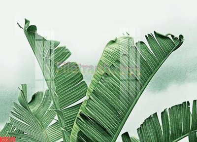 File gốc File gốc in tranh nền tường tổng hợp KD574 (bản quyền) cho in ấn