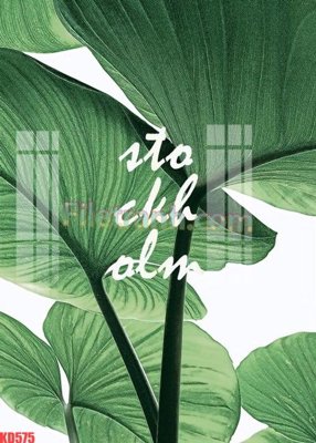 File in mica File gốc in tranh nền tường tổng hợp KD575 (ảnh gốc) đẹp