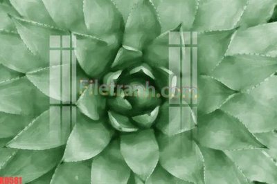 File tranh File gốc in tranh nền tường tổng hợp KD581 (gốc) in film