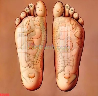 Tải về file tranh gốc File gốc in tranh nền tường tổng hợp KD6106 (để in quảng cáo)