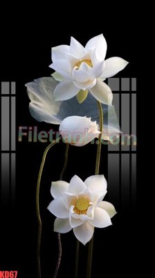 File gốc File gốc in tranh nền tường tổng hợp KD67 (cho in ấn) từ Filetranh.com