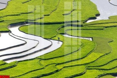 File PSD File tranh in décor tranh treo tường tổng hợp KD7064 (nguyên bản) cho thiết kế