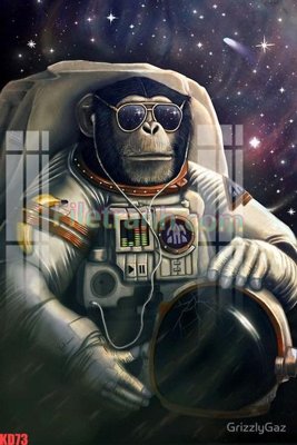 Download file tranh File gốc in tranh nền tường tổng hợp KD73 (file gốc PSD)