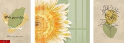 File gốc File tranh in décor tranh treo tường tổng hợp KD7335 (in tráng gương) ốp tường