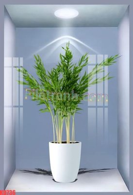 Chi tiết file ảnh File gốc in tranh nền tường tổng hợp KD736 sắc nét