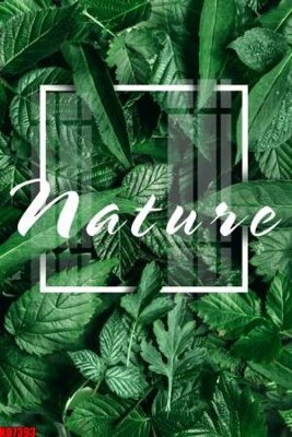 Hình ảnh gốc File tranh in décor tranh treo tường tổng hợp KD7393 (để in khổ lớn)