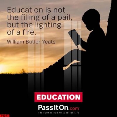 File tranh File tranh in décor tranh treo tường tổng hợp KD7638 (gốc) chủ đề động vật