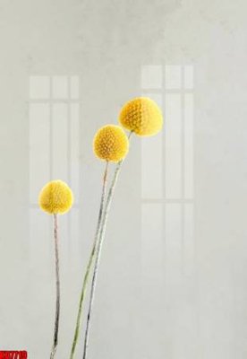 File gốc in ấn File tranh in décor tranh treo tường tổng hợp KD7719 độ phân giải cao