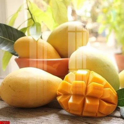 File ảnh gốc File tranh in décor tranh treo tường tổng hợp KD7723 (chuyên in mica)