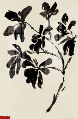 File gốc in tráng gương File tranh in décor tranh treo tường tổng hợp KD8024 chi tiết