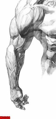 File ảnh File tranh in décor tranh treo tường tổng hợp KD8098 (gốc) in PP, decal