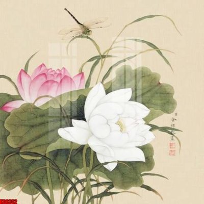 File tranh gốc File tranh in décor tranh treo tường tổng hợp KD8352 (bản quyền) Filetranh.com