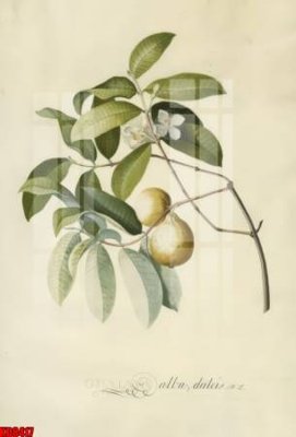 File tranh File tranh in décor tranh treo tường tổng hợp KD8417 (ảnh gốc) in trần nhà