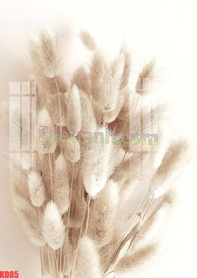 Tải file File gốc in tranh nền tường tổng hợp KD85 (ảnh gốc) độ phân giải 300dpi