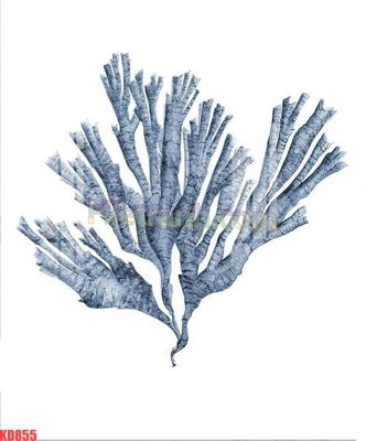 Tệp tin gốc File gốc in tranh nền tường tổng hợp KD855 (chất lượng) File gốc in tranh nền tường tổng hợp KD855