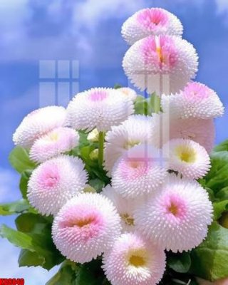 File gốc File tranh in décor tranh treo tường tổng hợp KD8840 (phiên bản chuẩn) để in ấn