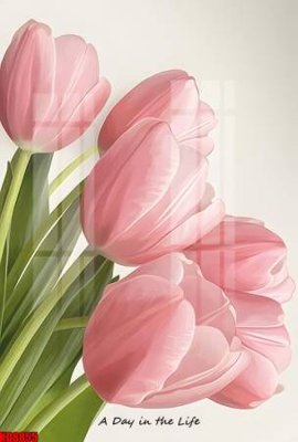 File gốc File tranh in décor tranh treo tường tổng hợp KD8855 (ảnh chi tiết) để in trần