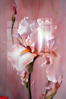 File gốc File tranh in décor tranh treo tường tổng hợp KD8862 (vector) cho in ấn