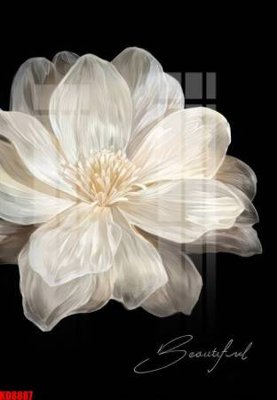 File tranh trang trí File tranh in décor tranh treo tường tổng hợp KD8887 (tải file gốc)